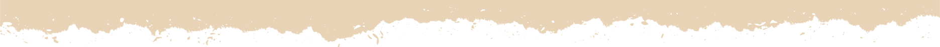 bottom_dark image